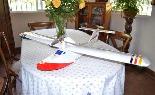 Electric Seamaster